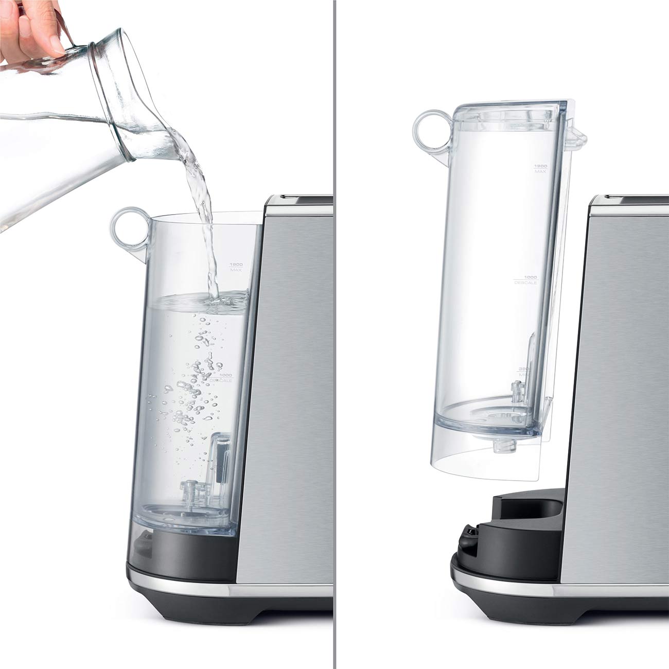 Sage - the Bambino™ Plus Black Truffle